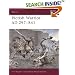 Pictish Warrior AD 297-841 (Warrior)