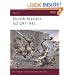 Pictish Warrior AD 297-841