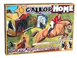 Reveal Entertainment Gallop Home Board Game