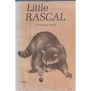 Rascal the Raccoon
