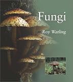 Fungi (Natural World (Smithsonian))