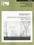 Energy: Supplies, Sustainability, and Costs (Information Plus Reference: Energy)