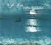 Café del Mar: Essential Feelings