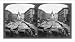 Historic Print (M): Market place and fountain, Vienna, Austria
