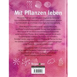 Energiepflanzen im Haus: Welche uns gut tun, welche nicht zu uns passen - Ungewöhnliche Z