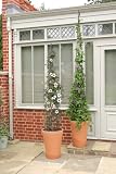 Review Harrod Horticultural  / Cone Obelisk LRG R/Black
