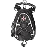 Mississippi State Bulldogs NCAA Mini Day Pack
