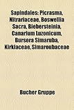 Sapindales: Picrasma, Nitrariaceae, Boswellia Sacra, Biebersteinia, Canarium Luzonicum, Bursera Simaruba, Kirkiaceae, Simaroubacea-