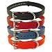 Collar Strap Blue / Roller Buckle / Nickel Hardware