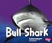 Bull Shark (Pebble Plus)