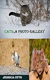 GATTI: una galleria fotografica (Italian Edition)