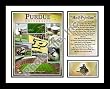 Perdue University Boilermakers NCAA Framed Photograph Milestone Collage