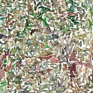 Trash(初回限定盤CD+DVD) ドレスコーズ