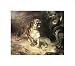 Tiger Confronting a Snake by a Stream in a Wooded Landscape by William Huggins poster print,14 in. x