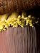 Manzana, Stubby, Apple or Ladyfinger Banana Flower, Musa Acuminata Photographic Poster Print by Joe Petersburger, 12x16