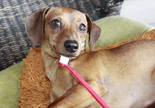 Redbarron Pet Toothbrush for Dogs, 2-pack, Double Sided, 8 1/2 Inch, Soft Bristles, Prevents Bad Breath