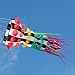 7-ft. Willi Koch Rainbow Cephalopod Inflatable Kite Accessory