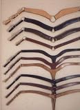 Royal King Y Breast Collar
