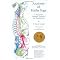 Most Popular Yoga Books