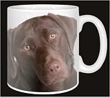 CHOCOLATE LABRADOR Coffee Mug  from Advanta