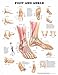 Books : Foot and Ankle