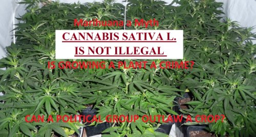 CANNABIS SATIVAL L. IS NOT ILLEGAL (CANNABIS SATIVA L. IS NOT ILLEGAL)
