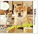 nintendogs + cats 柴 & Newフレンズ