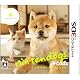 nintendogs ＋ cats 柴&Newフレンズ