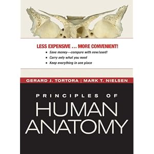 Anatomy Tortora