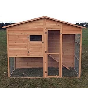 Seville Chicken Coop + Run - Pisces: Amazon.co.uk: Pet Supplies