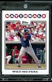 2008 Topps # 604 Wily Mo Pena - Washington Nationals - MLB Baseball Trading Card in a Protective Screw Down Display Case