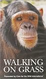 Walking on Grass: The Story of the Sweetwaters Chimpanzee Sanctuary in Kenya