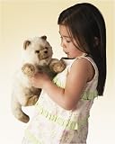 Plush Siamese Kitten Puppet 11