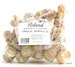 Escargot Shells - 36 count