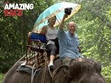 The Amazing Race: I Feel Like I'm In the Circus