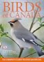 Birds Of Canada