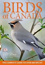 Birds Of Canada