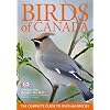 Birds Of Canada