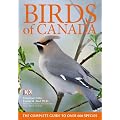 Birds Of Canada