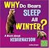 Why Do Bears Sleep All Winter?: A Book About Hibernation (First Facts)