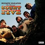 Psychotic Revelation: The Ultimate Count Five