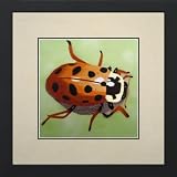 Susho, King Silk Art Handmade Silk Embroidery - Yellow Ladybug Facing East - White Mat Framed Medium Size 34118WF