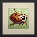 Susho, King Silk Art Handmade Silk Embroidery - Yellow Ladybug Facing East - White Mat Framed Medium Size 34118WF