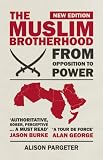 When victory is not an option : Islamist movements in Arab politics