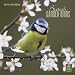 British Garden Birds 2010 Wall Calendar 12" X 12"