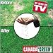 Outdoor Living : CANADA GREEN GRASS SEED 4 LB BAG