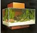 FLUVAL EDGE Nano-Aquarium Orange