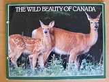The Wild Beauty Of Canada