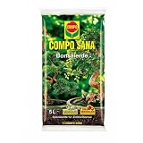 COMPO SANA Bonsaierde 5 Liter