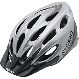 Giro Indicator Sport Bike Helmet (Titanium, Universal Fit)